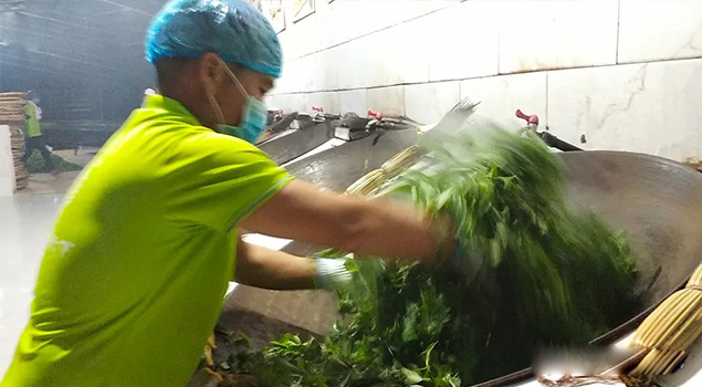 電氣化製茶成主流，蒸汽發生器讓製茶無煙化，實現零排放的環保目標